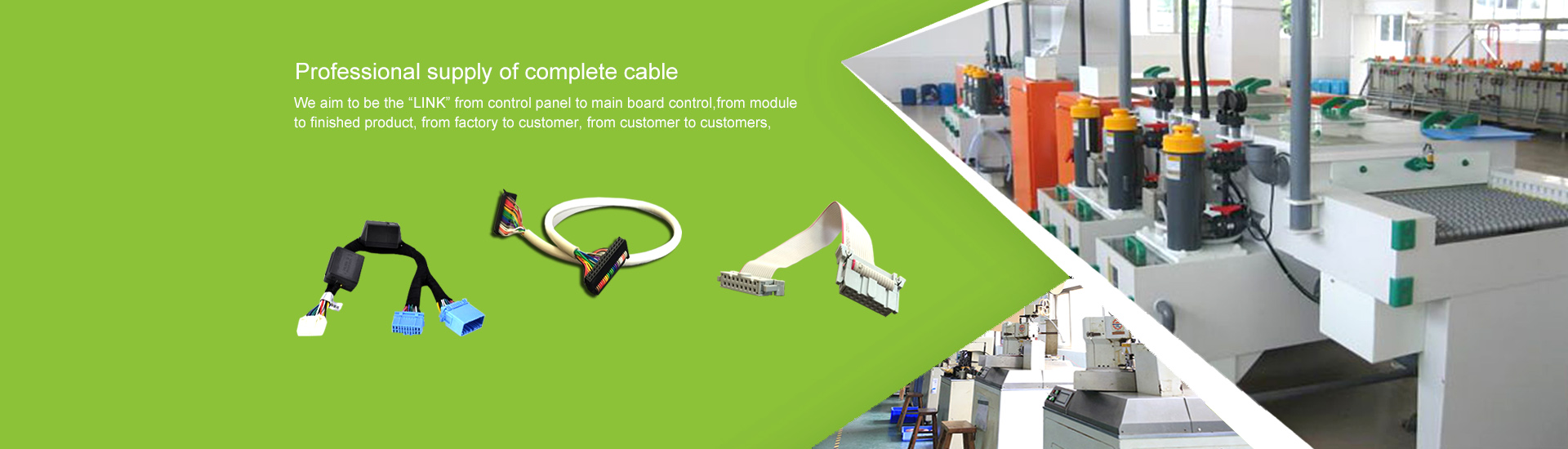 B&F Technology Co., Ltd