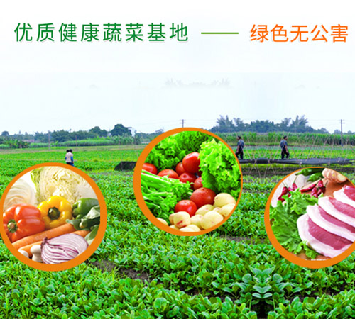 龍華網(wǎng)站設(shè)計(jì)_龍華做網(wǎng)站公司_深圳龍華做蔬菜配送類的網(wǎng)站哪家好